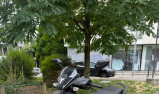 YAMAHA RayZR 125