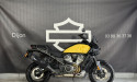 HARLEY-DAVIDSON ADVENTURE PAN AMERICA 1250 SPECIAL