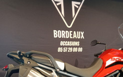 TRIUMPH Tiger 900 GT PRO 1 ERE MAIN