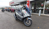 HONDA FORZA 350 NSS 350 ABS COLORIS GRIS NARDO