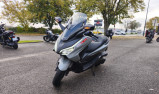 HONDA FORZA 350 NSS 350 ABS COLORIS GRIS NARDO