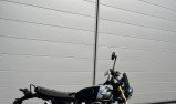 BEAR 650