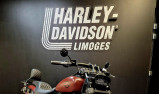 HARLEY-DAVIDSON SOFTAIL FAT BOB 1745