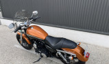 HARLEY-DAVIDSON SPORTSTER CUSTOM 1200