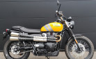 TRIUMPH SCRAMBLER 900 2025