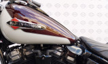 HARLEY-DAVIDSON SOFTAIL SLIM 1690