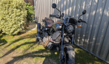INDIAN FTR RALLY 1200