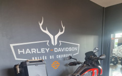 HARLEY-DAVIDSON ADVENTURE PAN AMERICA 1250 CVO