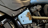 HARLEY-DAVIDSON SOFTAIL LOW RIDER 1923 S