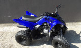 YAMAHA YFM RAPTOR 110