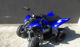 YAMAHA YFM RAPTOR 110