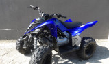 YAMAHA YFM RAPTOR 110