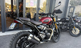 TRIUMPH Scrambler 400 X