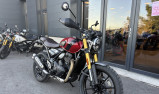 TRIUMPH Scrambler 400 X