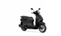 YAMAHA D