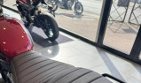 TRIUMPH Scrambler 400 X