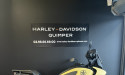 HARLEY-DAVIDSON ADVENTURE PAN AMERICA 1250 SPECIAL