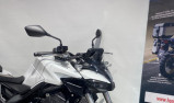HORNET 1000