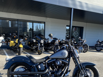 HARLEY-DAVIDSON SOFTAIL SPRINGER 1584 CROSS BONES