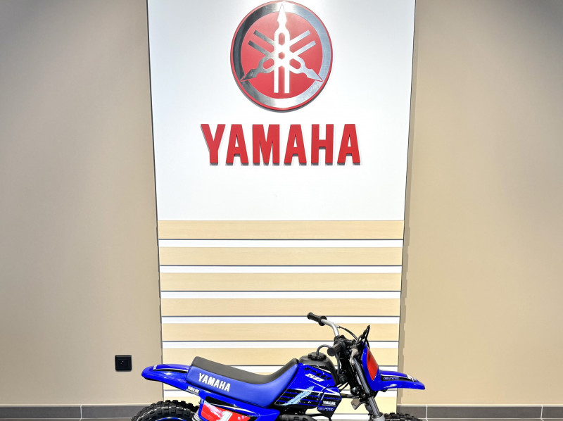 YAMAHA PW50