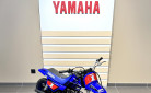 YAMAHA PW50