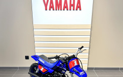 YAMAHA PW50