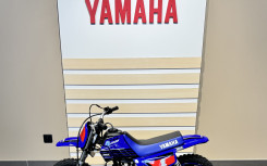 YAMAHA PW50
