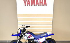 YAMAHA PW50