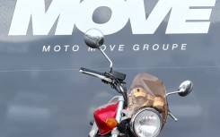 HONDA CB 900 HORNET