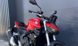 HORNET 1000