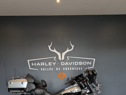HARLEY-DAVIDSON TOURING ELECTRA GLIDE 1340 LIMITED 100 th ANNIVERSARY