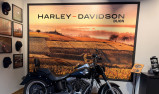 HARLEY-DAVIDSON SOFTAIL FAT BOY 1690 SPECIAL