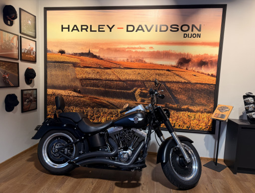 HARLEY-DAVIDSON SOFTAIL FAT BOY 1690 SPECIAL
