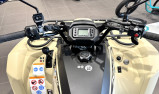 YAMAHA KODIAK 450 EPS