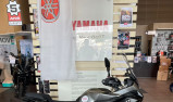YAMAHA TRACER 7 GT 35 KW