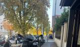 PIAGGIO MP3 310 HPE SPORT
