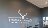 HARLEY-DAVIDSON TOURING ROAD KING 1868 SPECIAL