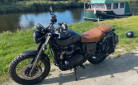 TRIUMPH SCRAMBLER 900