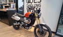 TRIUMPH SCRAMBLER 1200 XE 02/25 600KMS