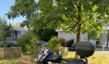 YAMAHA RayZR 125