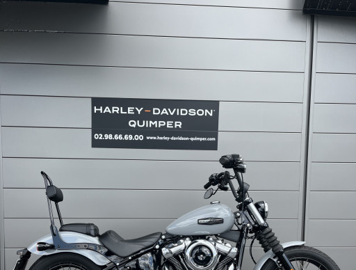 HARLEY-DAVIDSON Softail Street Bob 117 2025