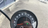HARLEY-DAVIDSON Softail Street Bob 117 2025
