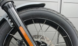 HARLEY-DAVIDSON Softail Street Bob 117 2025