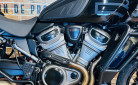 HARLEY-DAVIDSON ADVENTURE PAN AMERICA 1250 SPECIAL ARH+RAYONS