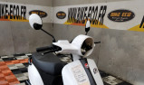 MASH CITY 50 2021  (60984) vente à professionnel uniquement