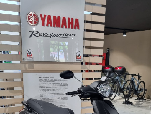 YAMAHA D