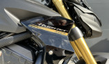 HORNET 1000 SP