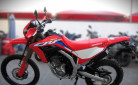 HONDA CRF 300 L ABS (A2)