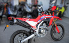 HONDA CRF 300 L ABS (A2)