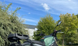 BENELLI LEONCINO 800